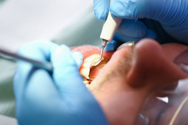 Best Urgent Dental Care in Berryville, AR